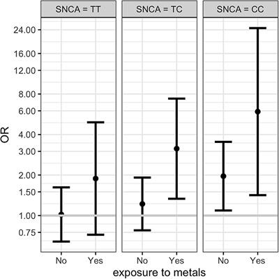 Metal Exposure and SNCA rs356219 Polymorphism Associated With Parkinson Disease and Parkinsonism